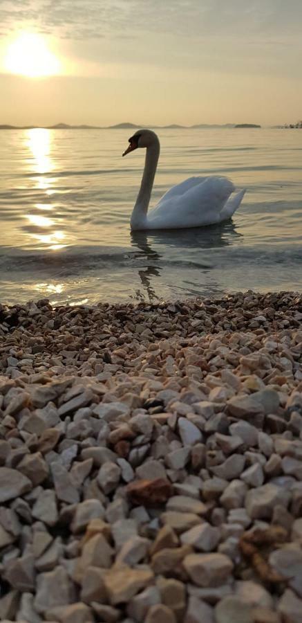 Vila Sentio Mare-Apartments Livaic Zeljko Pirovac Bagian luar foto